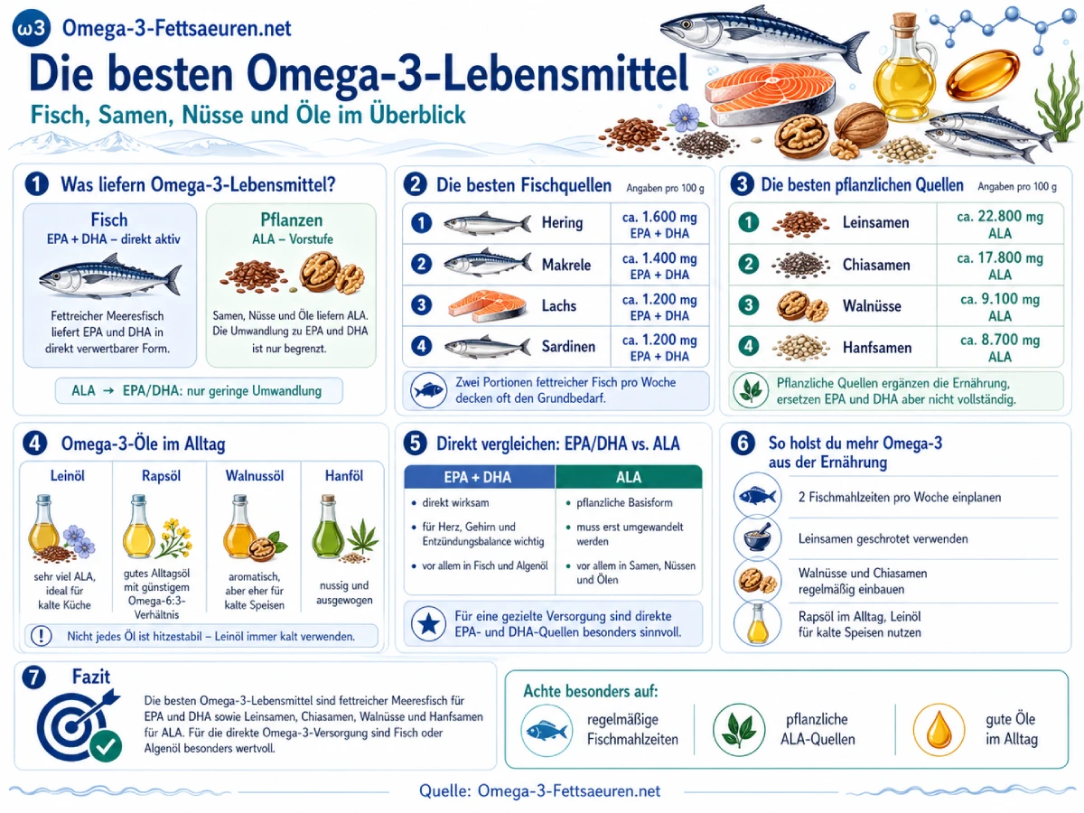 Infografik: Die besten Omega-3-Lebensmittel – Fisch, Samen, Nüsse und Öle im Überblick. Vergleich von EPA/DHA-Quellen (Hering, Makrele, Lachs, Sardinen) und ALA-Quellen (Leinsamen, Chiasamen, Walnüsse, Hanfsamen) mit Mengenangaben pro 100 g.