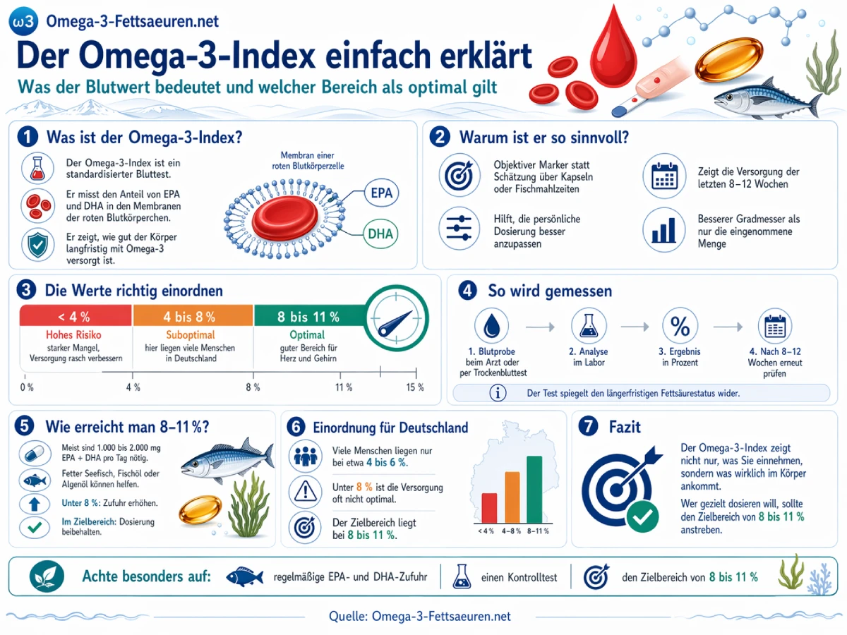 Infografik: Der Omega-3-Index als persönlicher Gradmesser – Übersicht der Indexbereiche unter 4 %, 4 bis 8 % und 8 bis 11 % mit Bewertung und Dosierungsempfehlungen.