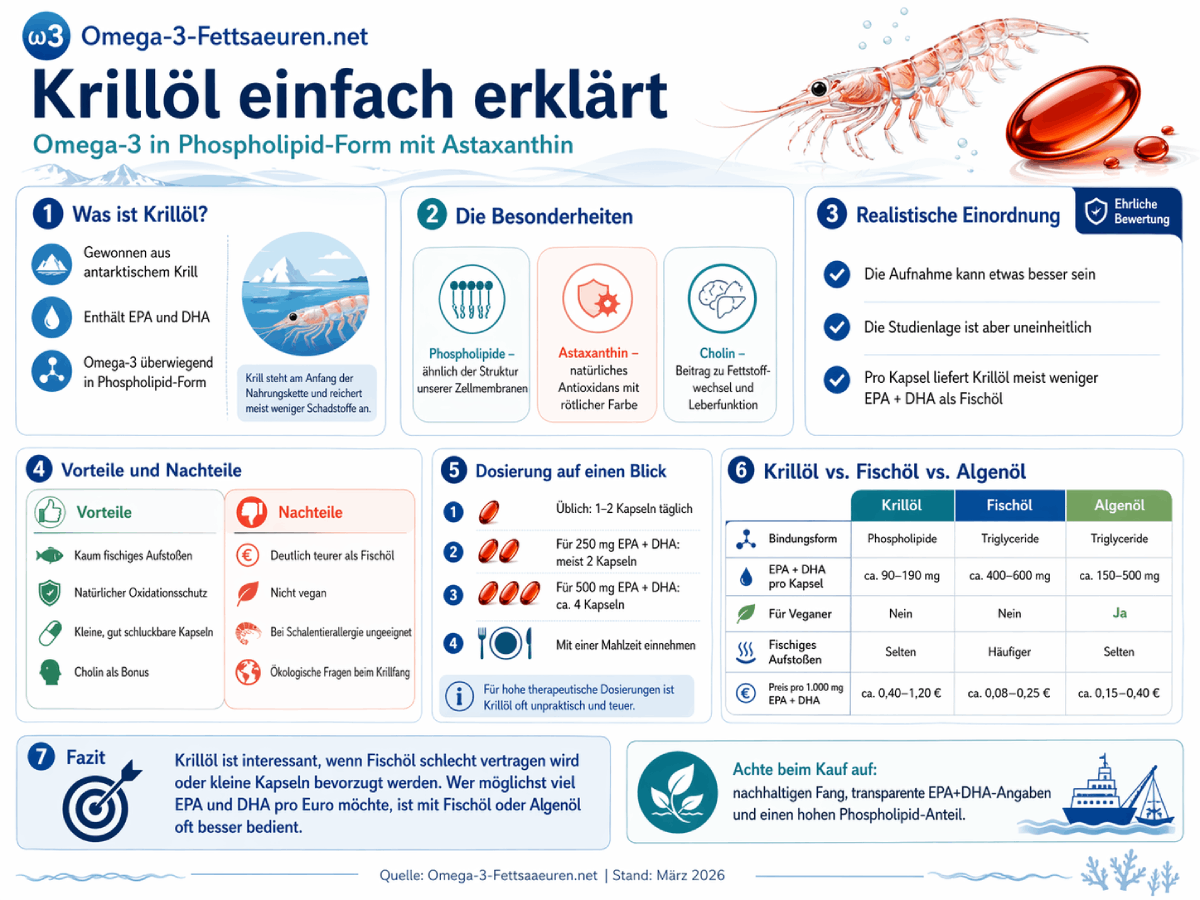 Infografik: Krillöl einfach erklärt – Omega-3 in Phospholipid-Form mit Astaxanthin. Übersicht zu Besonderheiten, Dosierung, Vorteilen und Nachteilen sowie Vergleich mit Fischöl und Algenöl.